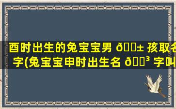 酉时出生的兔宝宝男 🐱 孩取名字(兔宝宝申时出生名 🌳 字叫什么)